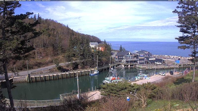 Hall's Harbour