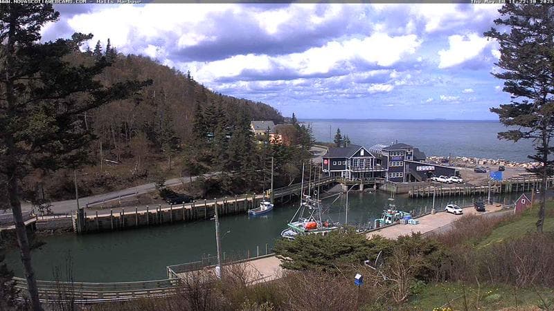 Hall's Harbour
