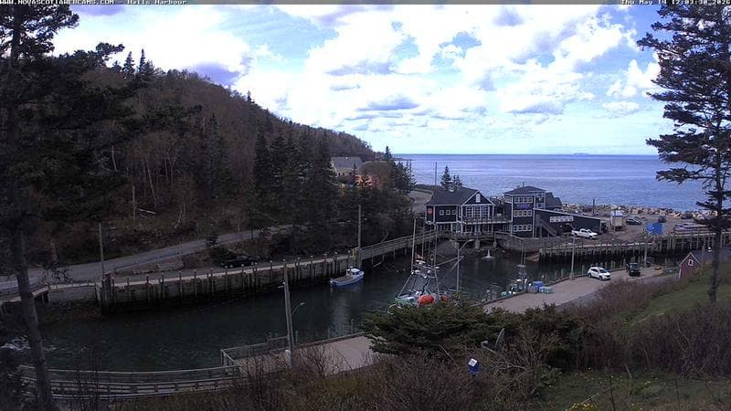 Hall's Harbour
