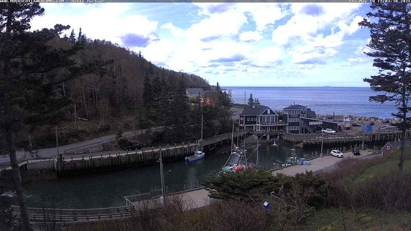Hall's Harbour