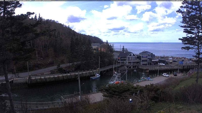 Hall's Harbour
