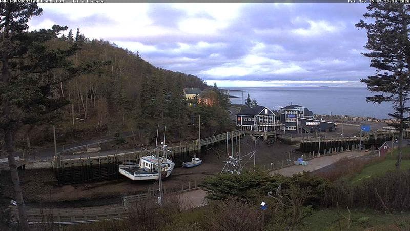 Hall's Harbour