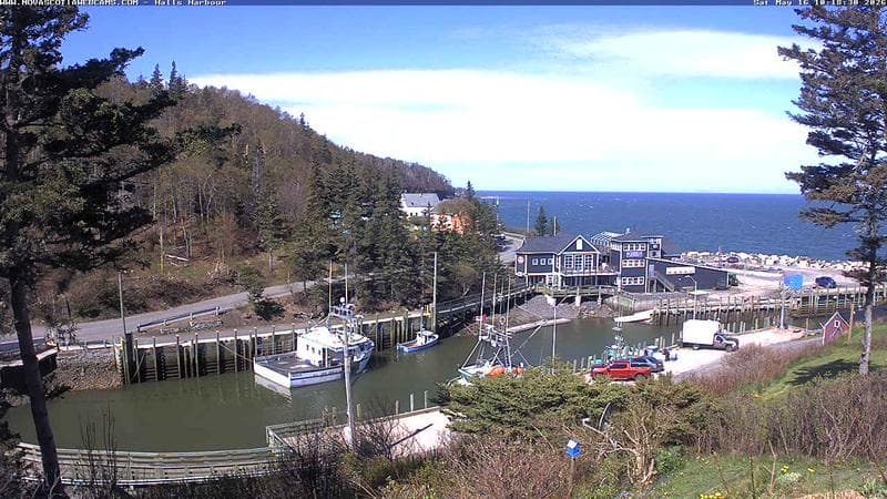Hall's Harbour