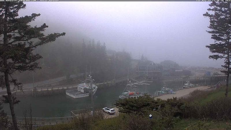 Hall's Harbour