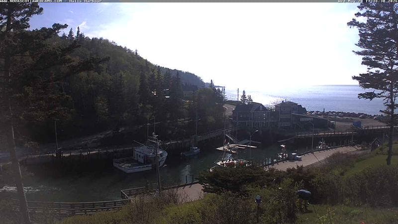 Hall's Harbour
