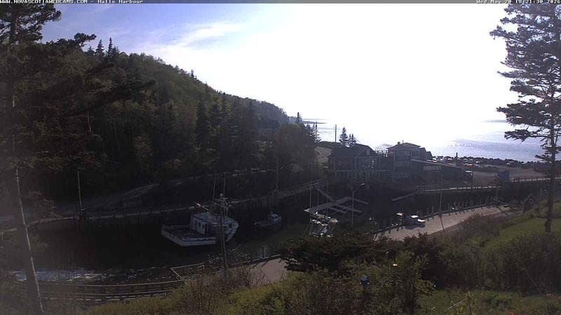 Hall's Harbour