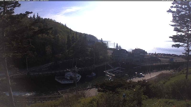 Hall's Harbour