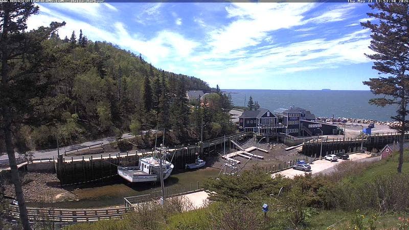 Hall's Harbour