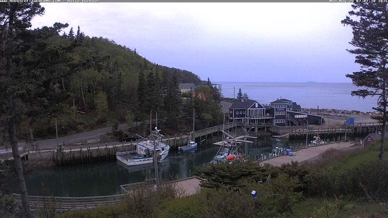 Hall's Harbour