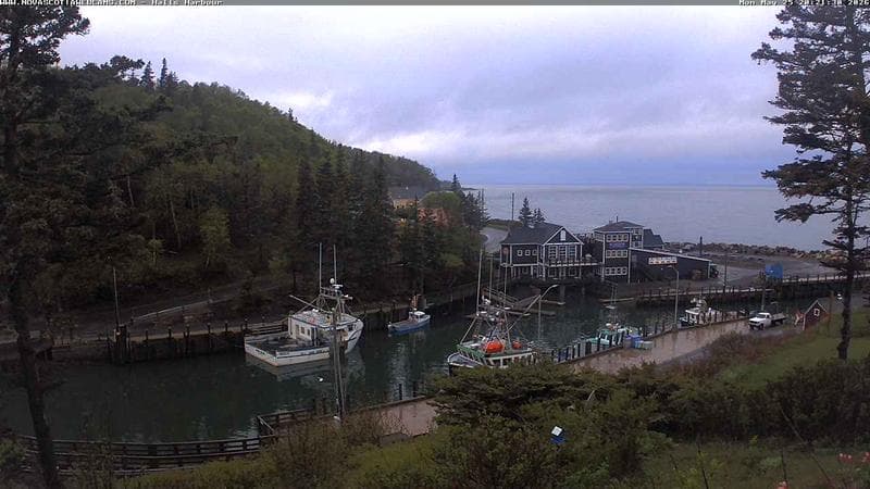 Hall's Harbour