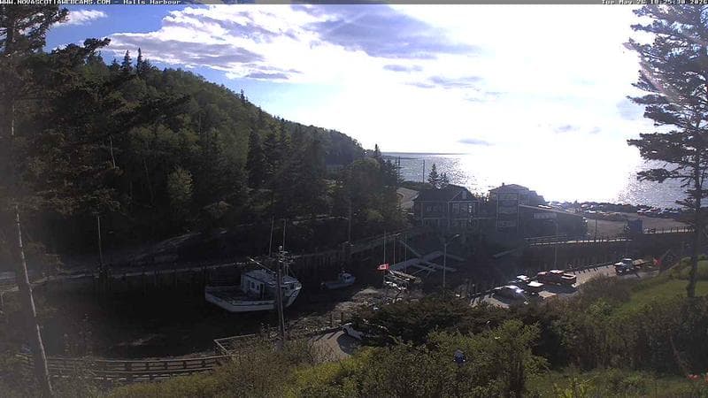 Hall's Harbour