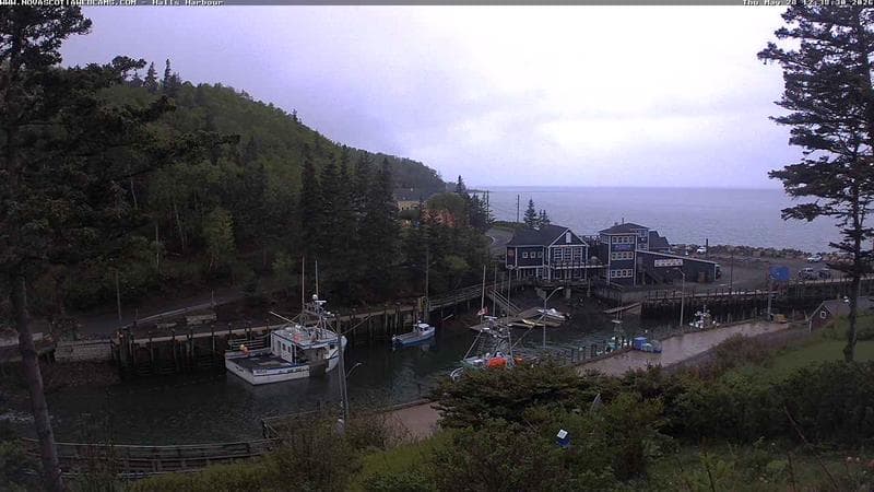 Hall's Harbour