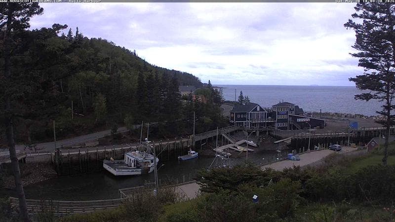 Hall's Harbour