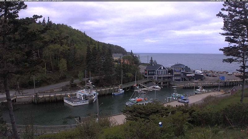 Hall's Harbour