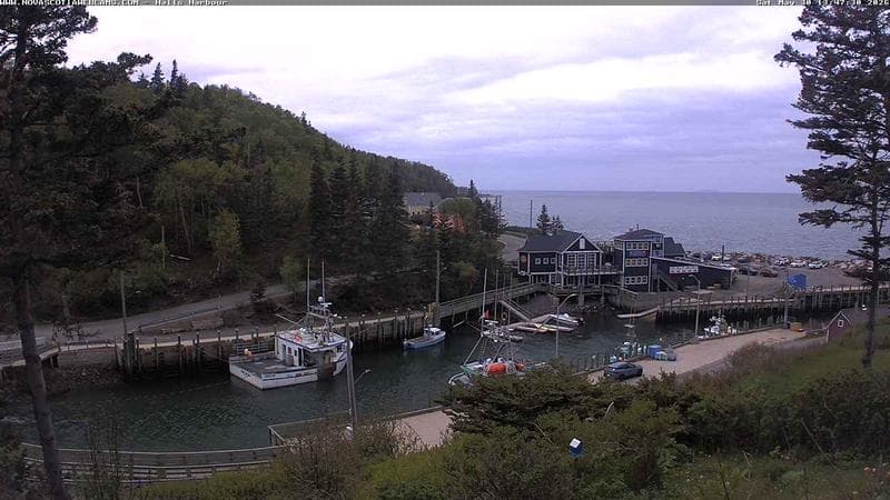 Hall's Harbour