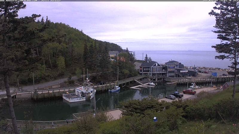 Hall's Harbour