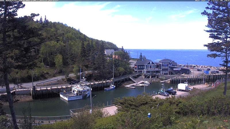 Hall's Harbour