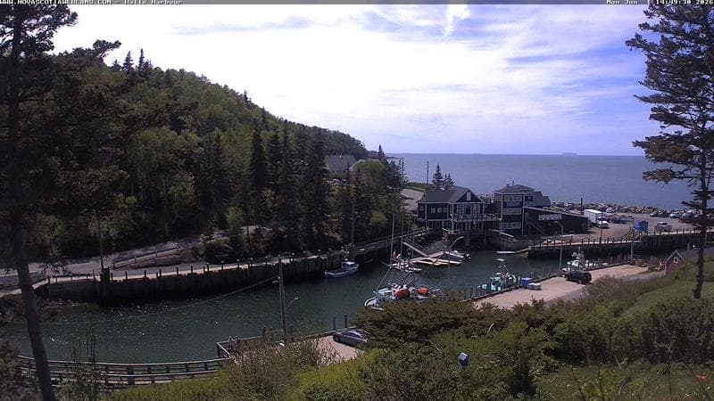 Hall's Harbour