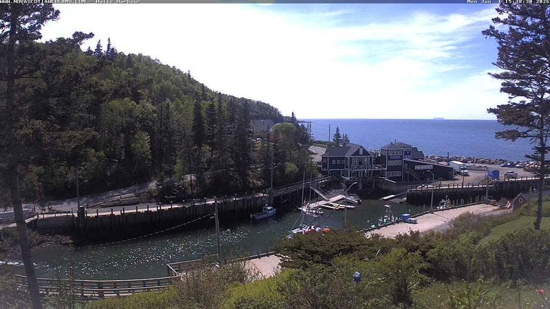 Hall's Harbour