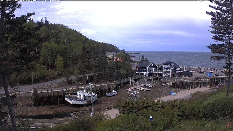 Hall's Harbour