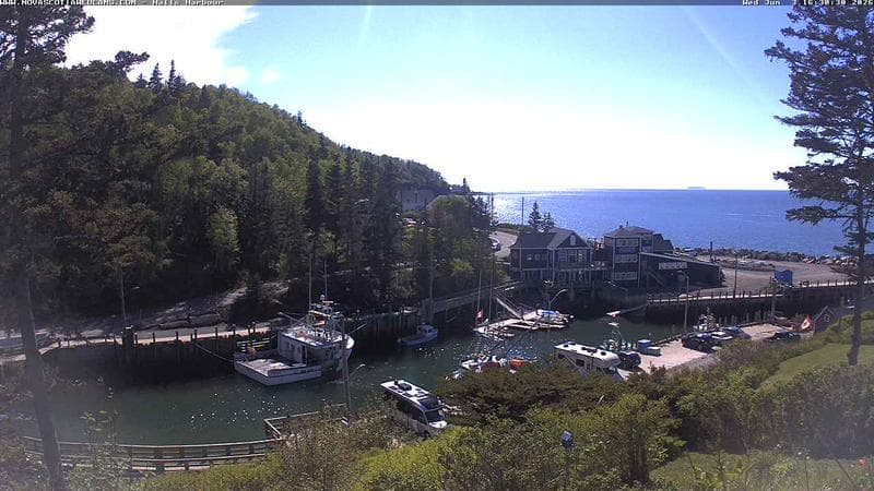 Hall's Harbour