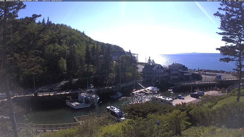 Hall's Harbour