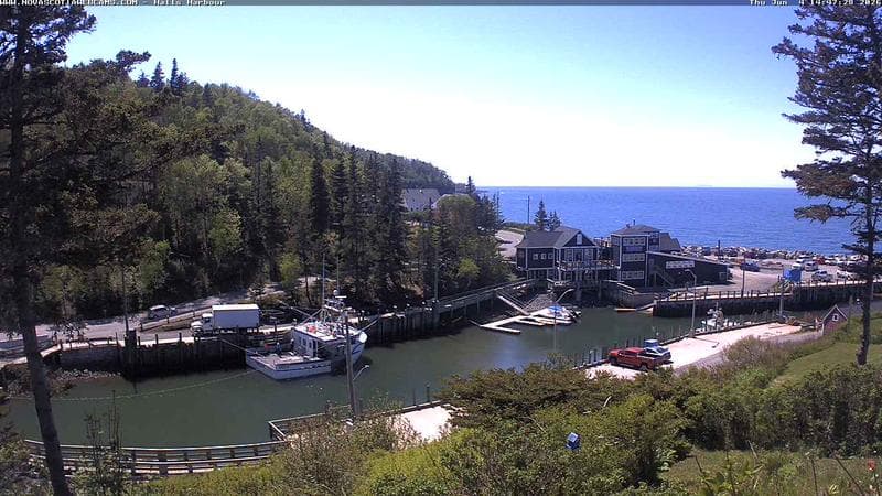 Hall's Harbour