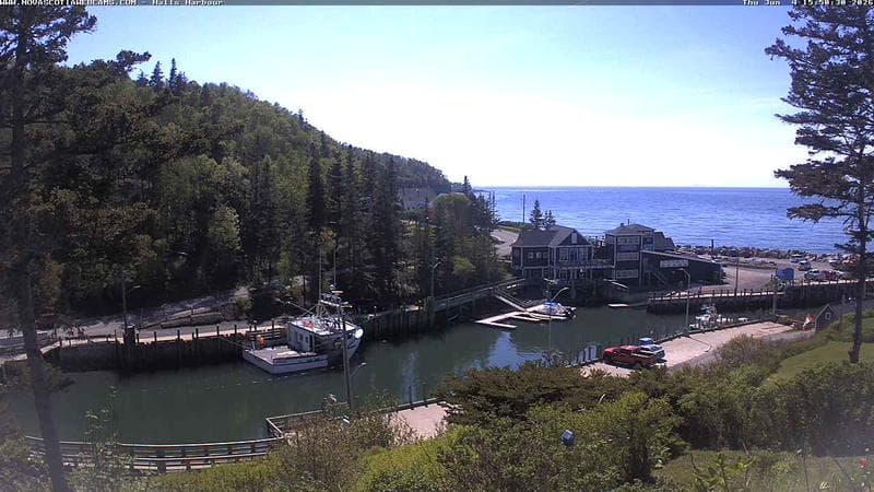 Hall's Harbour
