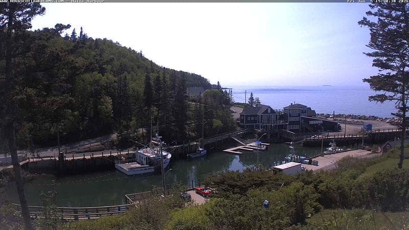 Hall's Harbour