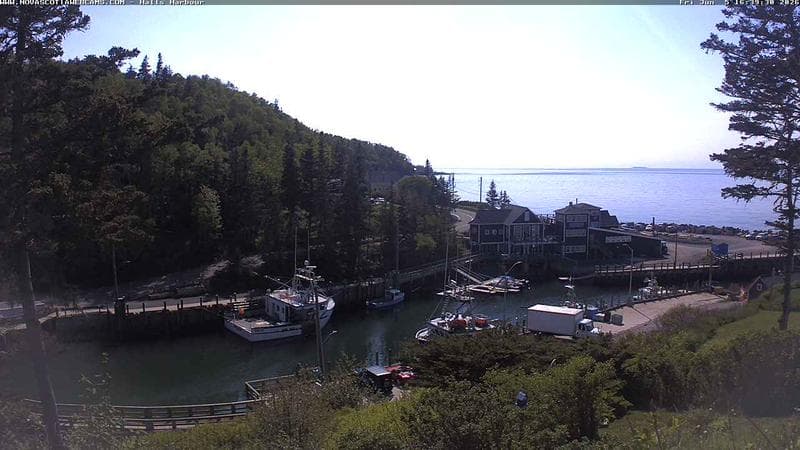 Hall's Harbour