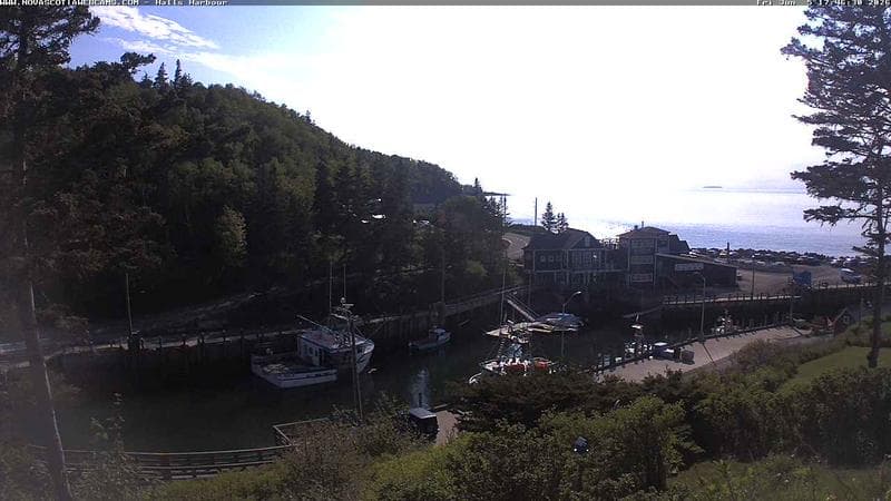 Hall's Harbour