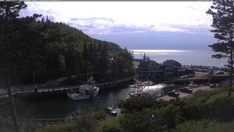 Hall's Harbour