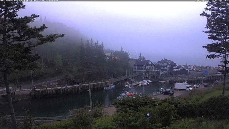 Hall's Harbour