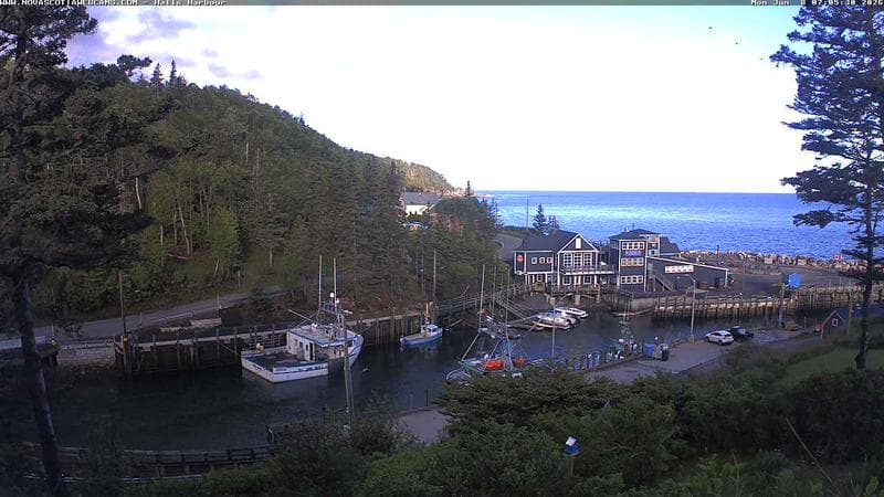 Hall's Harbour