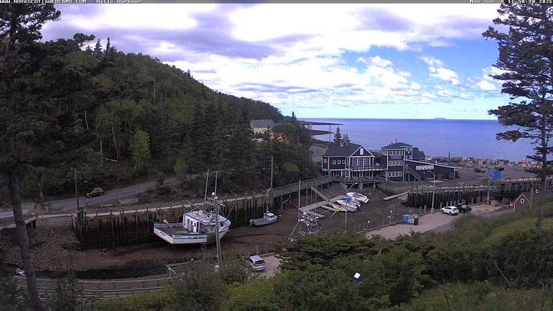 Hall's Harbour