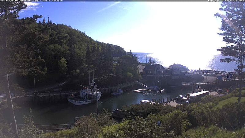 Hall's Harbour