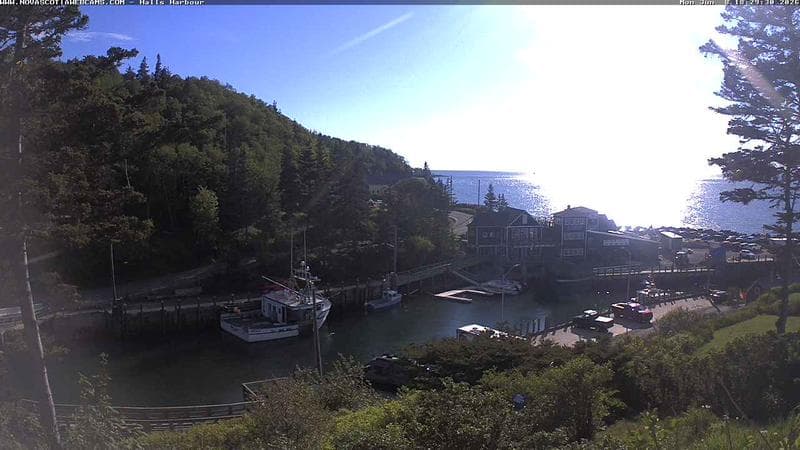 Hall's Harbour