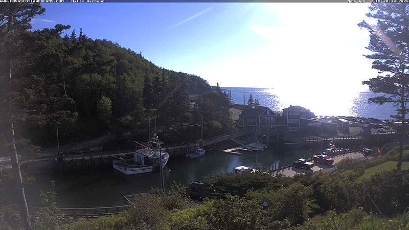 Hall's Harbour