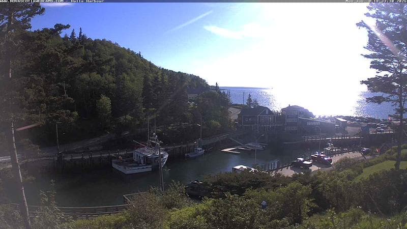 Hall's Harbour