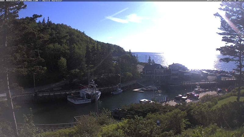 Hall's Harbour