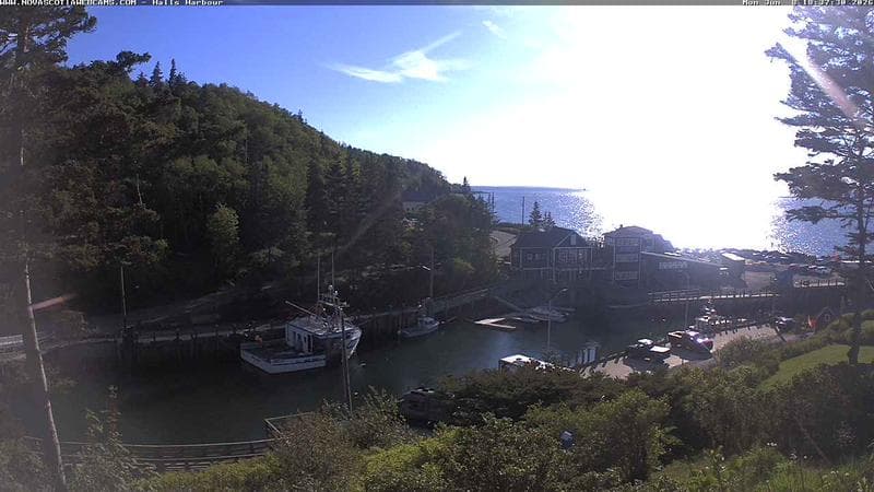 Hall's Harbour