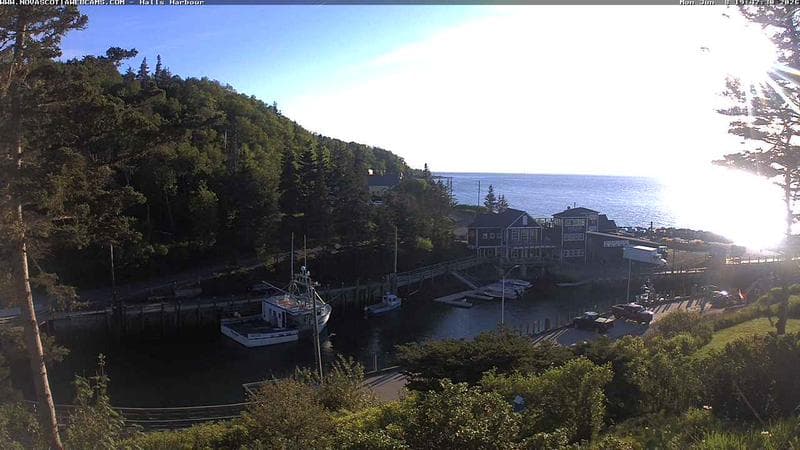 Hall's Harbour