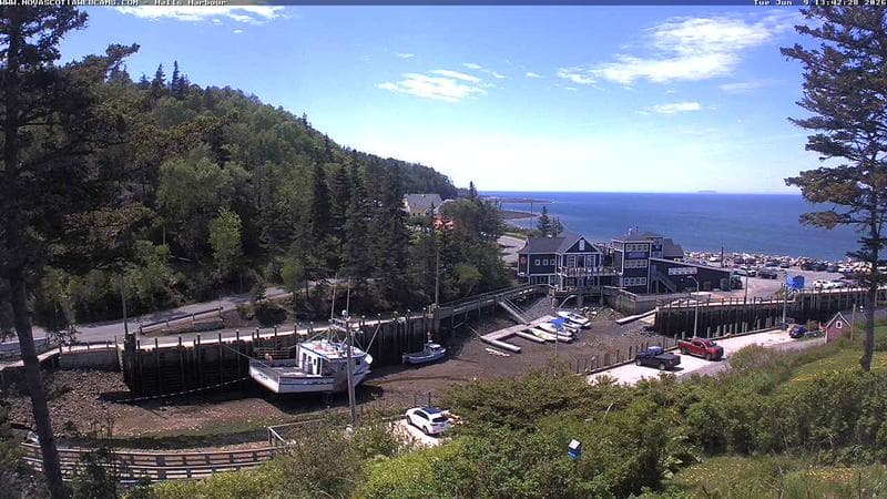 Hall's Harbour