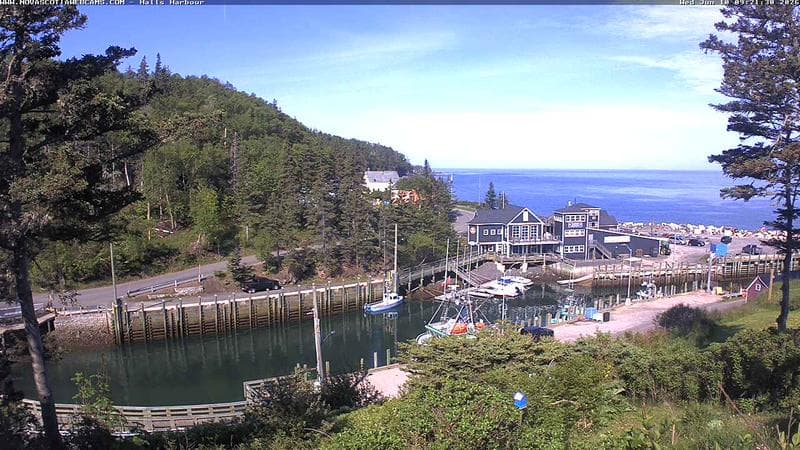 Hall's Harbour
