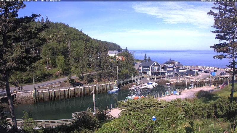 Hall's Harbour
