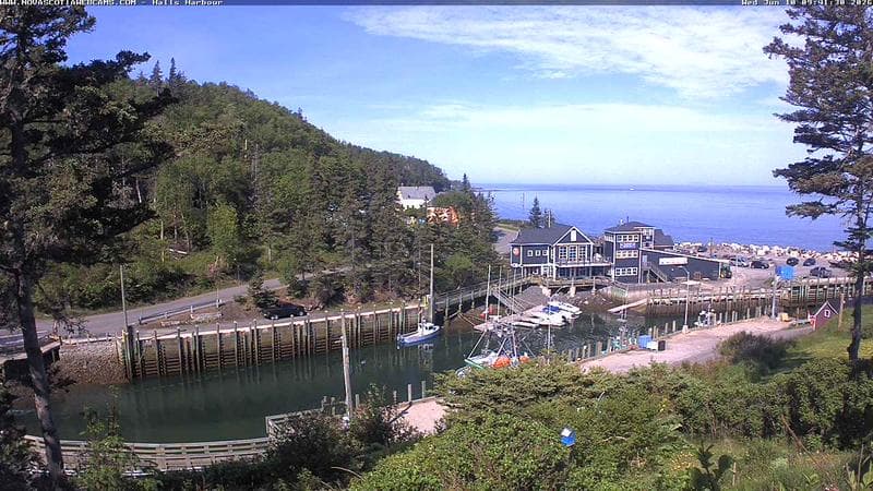 Hall's Harbour
