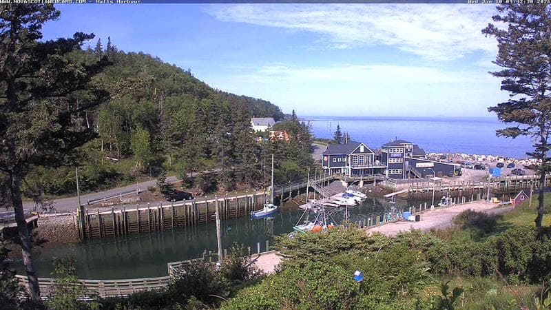 Hall's Harbour
