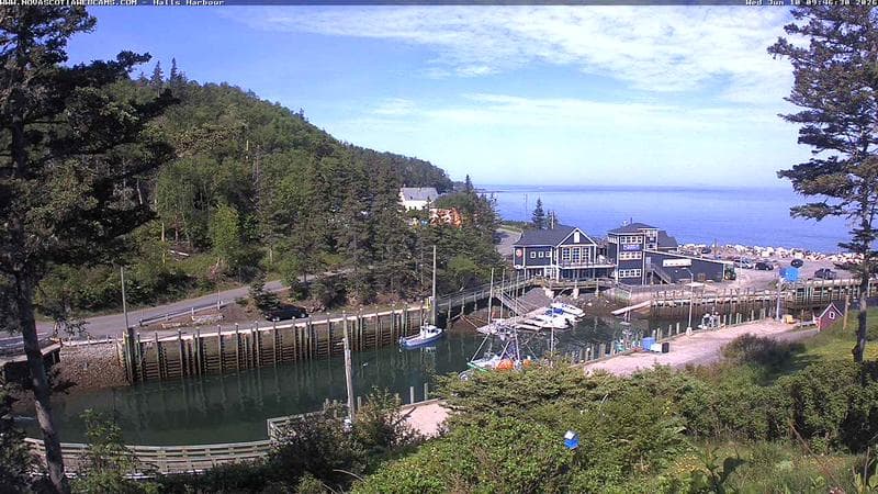 Hall's Harbour