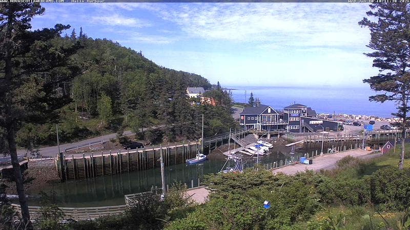 Hall's Harbour