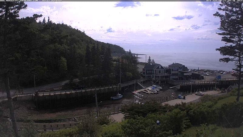 Hall's Harbour